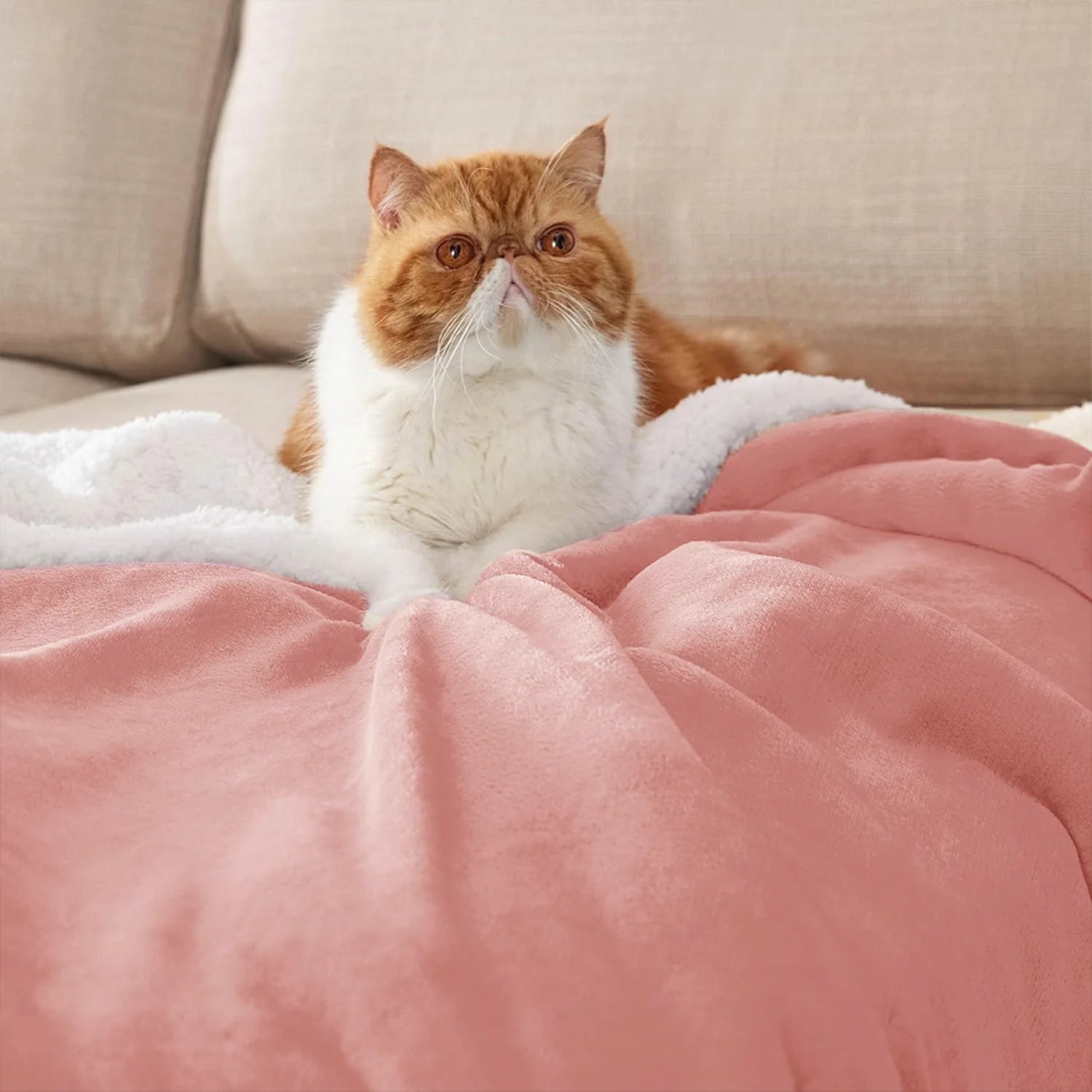 Gentle and Soft Fleece Throw Blanket - image 9